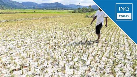 El Niño to affect more provinces as extended dry season likely.